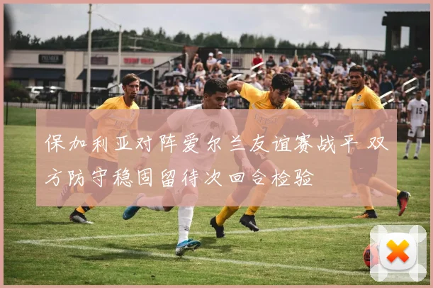 保加利亚对阵爱尔兰友谊赛战平 双方防守稳固留待次回合检验