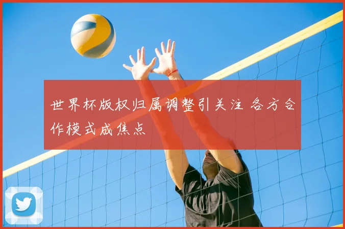 世界杯版权归属调整引关注 各方合作模式成焦点